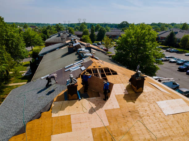 Best Flat Roof Repair Services  in El Lago, TX